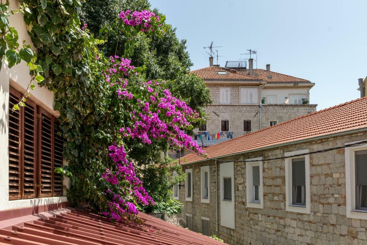 Studio Central Split Apartment